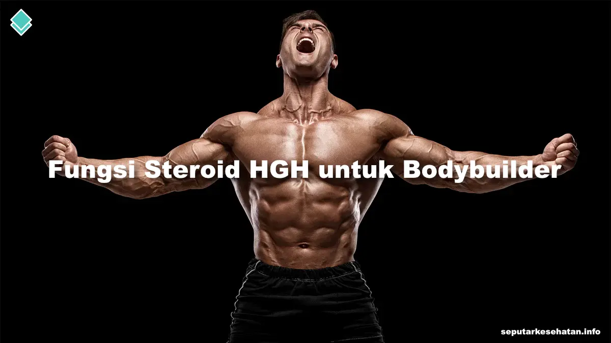 Fungsi Steroid HGH untuk Bodybuilder