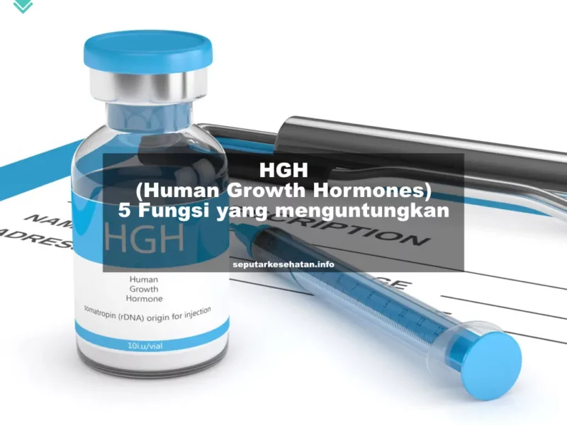 HGH (Human Growth Hormone): 5 Fungsi yang Menguntungkan