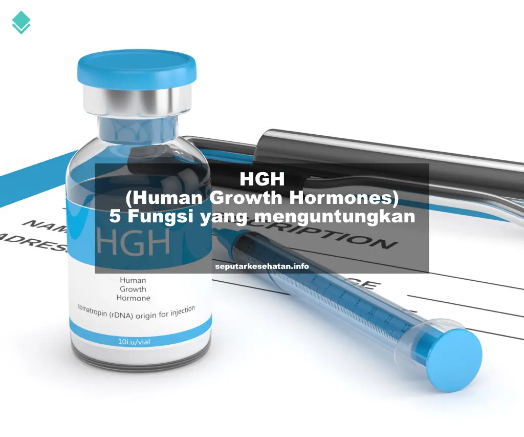 HGH (Human Growth Hormones) 5 Fungsi Yang Menguntungkan