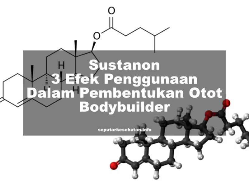 Sustanon 3 Efek Penggunaan Dalam Pembentukan Otot Bodybuilder