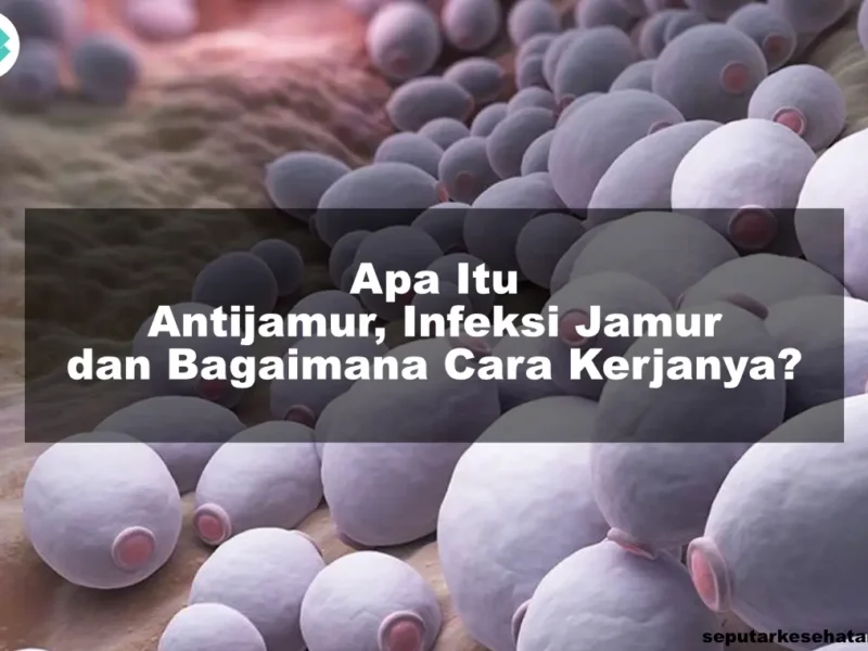 Apa Itu Antijamur, Infeksi Jamur dan Bagaimana Cara Kerjanya?