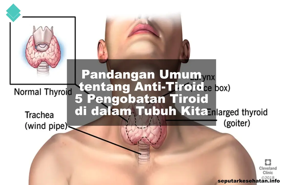 Pandangan Umum tentang Anti-Tiroid - 5 Pengobatan Tiroid di dalam Tubuh Kita