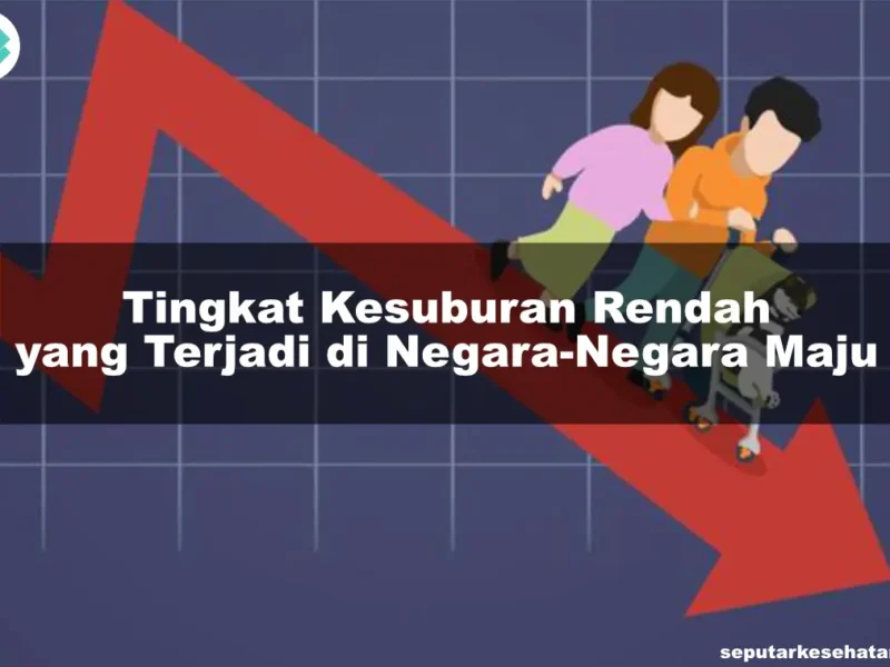 Tingkat Kesuburan Rendah yang Terjadi di Negara-Negara Maju