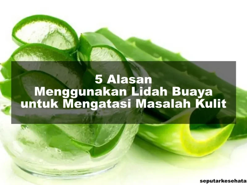 5 Alasan Menggunakan Lidah Buaya untuk Mengatasi Masalah Kulit