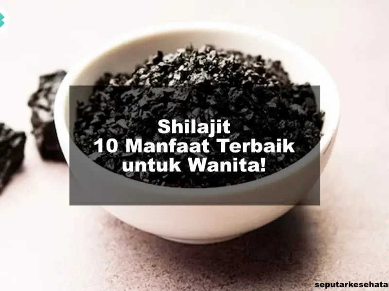 Shilajit 10 Manfaat Terbaik untuk Wanita!