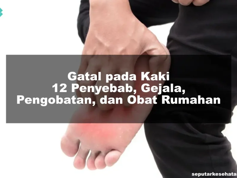 Gatal pada Kaki 12 Penyebab, Gejala, Pengobatan, dan Obat Rumahan