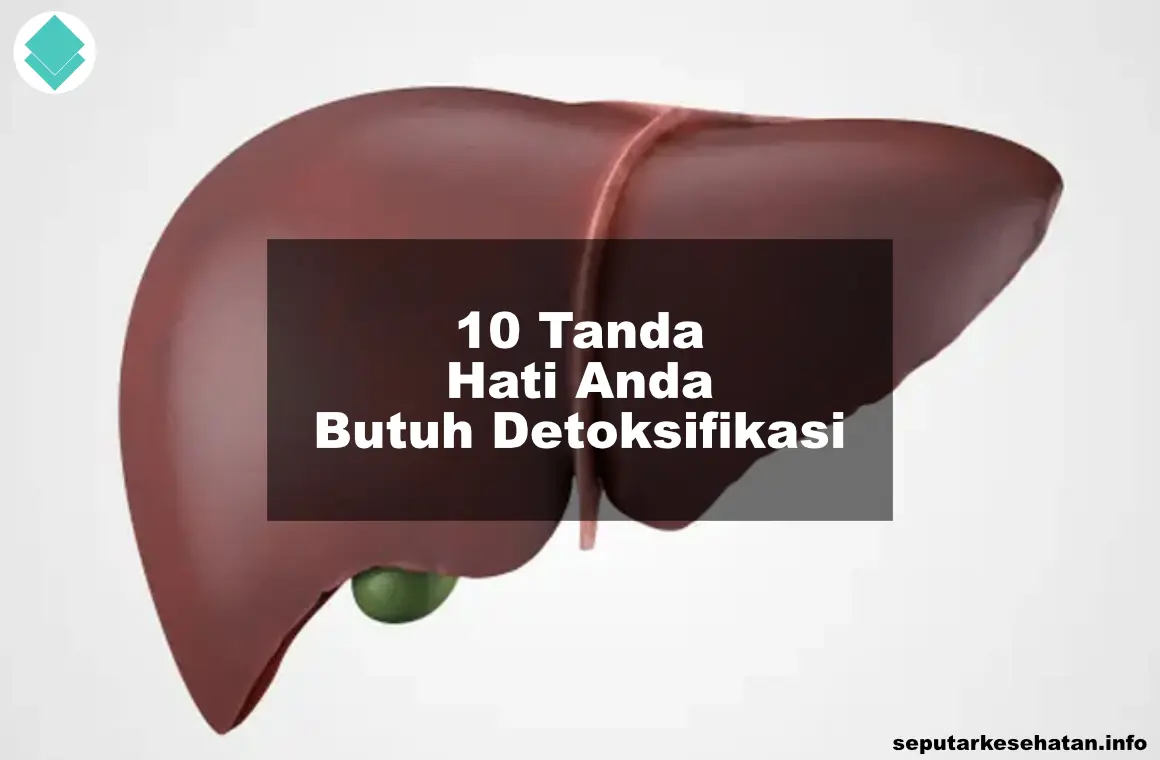 Seputar Kesehatan » 10 Tanda Hati Anda Butuh Detoksifikasi