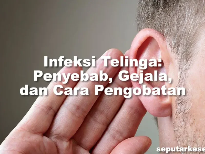 Infeksi Telinga Penyebab, Gejala, dan Cara Pengobatan